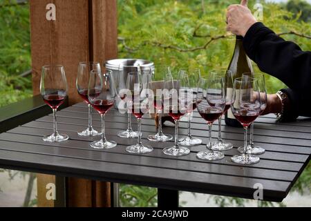 Weinprobe in Kelowna, auf dem Weingut Wachteln' Gate, in British Columbia, Kanada Stockfoto