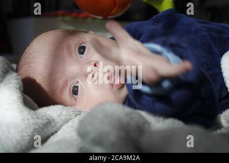 Sechs Monate altes Frühgeborenes schaut mit weit geöffneten Augen auf die Kamera Stockfoto