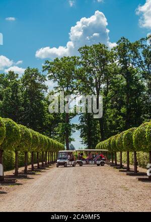 Touristen fahren Rundale Palace Park Elektro-Tour-Bus an einem sonnigen Sommertag. Stockfoto