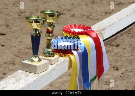 Gruppe von Reiten Pferdesport Trophäen und Abzeichen Rosetten bei Reitveranstaltung auf weißem Holzzaun Stockfoto