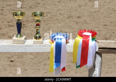 Gruppe von Reiten Pferdesport Trophäen und Abzeichen Rosetten bei Reitveranstaltung auf weißem Holzzaun Stockfoto