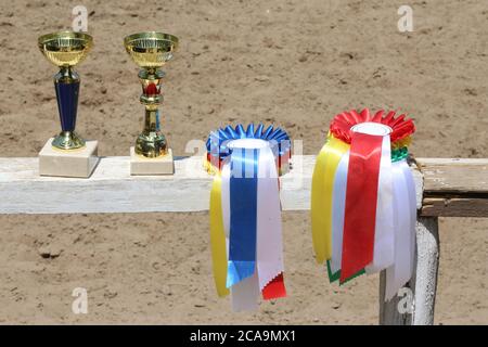 Gruppe von Reiten Pferdesport Trophäen und Abzeichen Rosetten bei Reitveranstaltung auf weißem Holzzaun Stockfoto