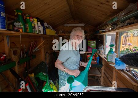 Ältere Frau in ihren 80ern Durchführung Gartenarbeit in ihrem hinteren Wohngarten, England, Großbritannien Stockfoto