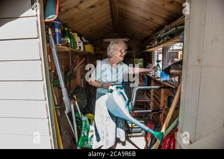 Ältere Frau in ihren 80ern Durchführung Gartenarbeit in ihrem hinteren Wohngarten, England, Großbritannien Stockfoto