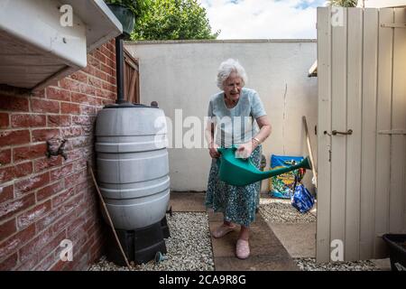 Ältere Frau in ihren 80ern Durchführung Gartenarbeit in ihrem hinteren Wohngarten, England, Großbritannien Stockfoto