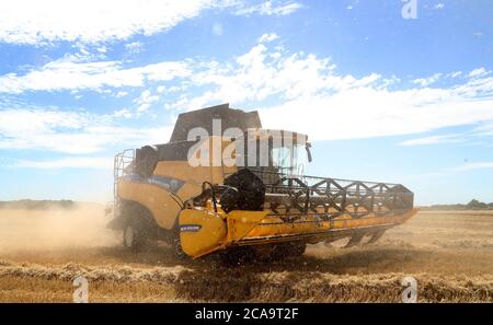 Ein Mähdrescher schneidet eine Ernte von Frühlingsgerste in einem Feld in der Nähe von Ashford, Kent, wenn das warme Wetter weiter. Stockfoto