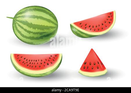 Realistisches frisches Wassermelone-Set. Saftige Wassermelone isoliert auf weiß. Vektorgrafik tropische Früchte Stock Vektor
