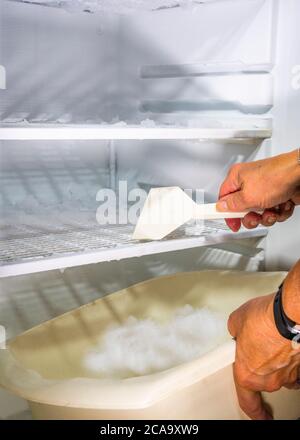 Die Hände der Frau mit einem Schaber auf der Innenseite eines heimischen Gefrierschranks, um eine Ansammlung von Eis und Frost zu entfernen, während sie eine Plastikschale halten, um es in fangen. Stockfoto