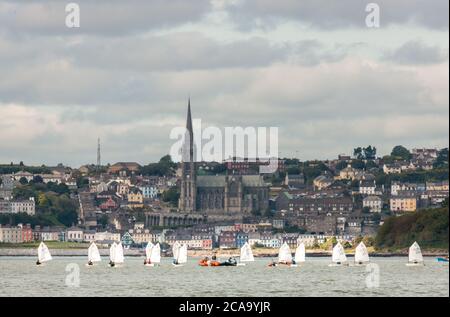 Crosshaven, Cork, Irland. August 2020. Eine Gruppe von Optimist Schlauchbooten vom Royal Cork Yacht Club Training im Hafen von Cork vor dem Hintergrund der St Colman's Cathedral in Cobh, Co. Cork, Irland. - Credit; David Creedon / Alamy Live News Stockfoto