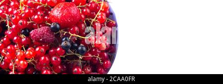 Gemischte frische verschiedene Beeren in einer Schüssel bestehend aus rohen Erdbeeren, Himbeeren, rote und schwarze Johannisbeere, Stachelbeeren, elektve Fokus Stockfoto