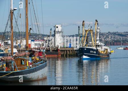 Brixham Trawler BM188 Sam von Ladram Rückkehr nach Port Large Seefahrtrawler manövrieren im Hafen von Brixham Frontalansicht ruhiges Meer Und hellblauer Himmel Stockfoto