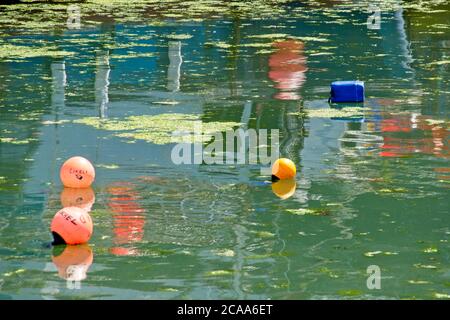 Sommerszenen im Hafen von Mevagissey Reflexionen im Hafen Wasserfarben Bobbers Floating Reflections in Water Green hue Landscape Format Stockfoto
