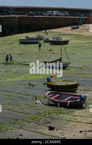Mousehole Hafen bei Ebbe Reihe von kleinen Booten, die diagonal von unten nach oben auf Sand liegen. Meeresgrund mit grünen Algen bedeckt. Menschen, die herumlaufen Stockfoto