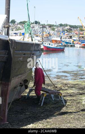 Newlyn Old Harbour Traditional Lugger wird restauriert man Reinigungsseite Von Rumpf Nahaufnahme des Schiffes mit Hafenbooten Und Trawler im Hintergrund Stockfoto