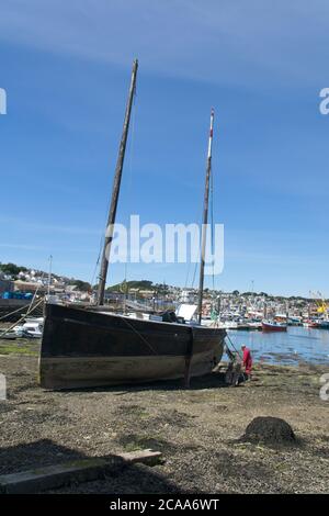 Newlyn Old Harbour Traditional Lugger wird restauriert man Reinigungsseite Von Rumpf volle Ansicht des Schiffes mit Hafenbooten und Trawler im Hintergrund Stockfoto