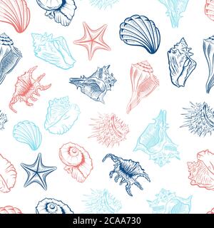 Muscheln und Seesterne Vektor nahtlose Muster Stock Vektor