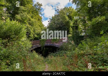 Verlassene Eisenbahnlinie unter einer alten Brücke. Abgebaut in den 1950er Jahren jetzt ein Heritage Trail über die Südabfahrten in der Nähe Wickham in Hampshire Stockfoto