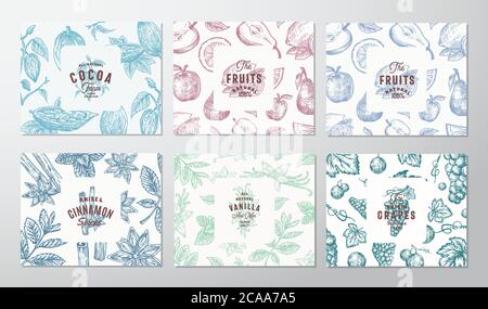 Handgezeichnete Trauben, Früchte, Kakaobohnen, Minze, Nüsse und Gewürzkarten Set. Abstrakte Vektor Skizze Muster Hintergründe Sammlung mit Retro Typografie Stock Vektor