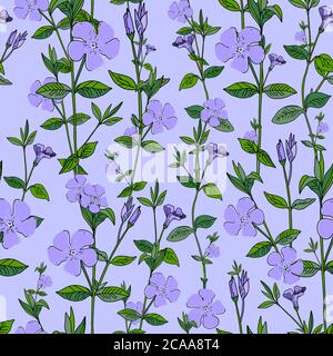 Wildblumen Muster nahtlose Hintergrund. Exotische Tapete. Modischer Trenddruck. Blaue Blumen. Periwinkle-Muster. Druck für moderne Textilien Stock Vektor