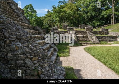 Treppe des Tempels XIV im Vordergrund, mit Komplex XV dahinter, in den Ruinen der Maya-Stadt Palenque, Palenque Nationalpark, Chiapas, Mexiko. Stockfoto