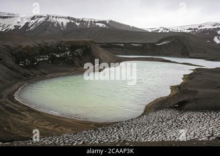 Blick von oben auf die Telefon Bay in Deception Island, South Shetland Islands, Antarktische Halbinsel. Stockfoto