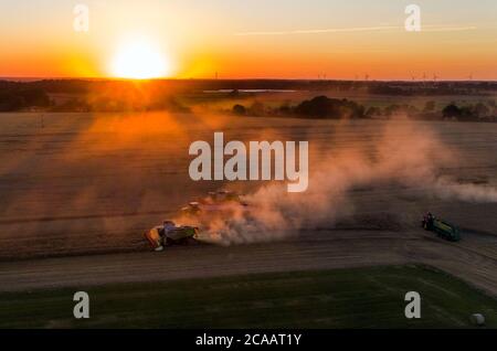 Rosenow, Deutschland. August 2020. Mähdrescher des Lützow-Marktes fahren bei Sonnenuntergang über ein Roggenfeld. Nach zwei Jahren Dürre erwarten die Bauern in Mecklenburg-Vorpommern in diesem Jahr eine durchschnittliche Getreideernte. (Luftaufnahme mit Drohne) Quelle: Jens Büttner/dpa-Zentralbild/dpa/Alamy Live News Stockfoto
