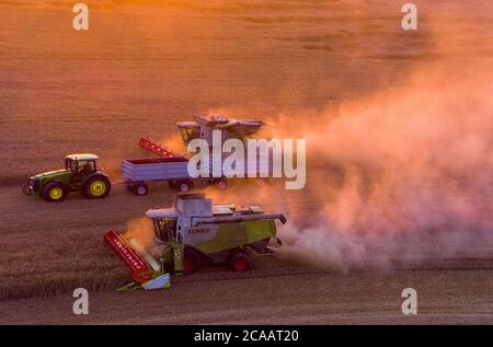 Rosenow, Deutschland. August 2020. Mähdrescher des Lützow-Marktes fahren bei Sonnenuntergang über ein Roggenfeld. Nach zwei Jahren Dürre erwarten die Bauern in Mecklenburg-Vorpommern in diesem Jahr eine durchschnittliche Getreideernte. (Luftaufnahme mit Drohne) Quelle: Jens Büttner/dpa-Zentralbild/dpa/Alamy Live News Stockfoto