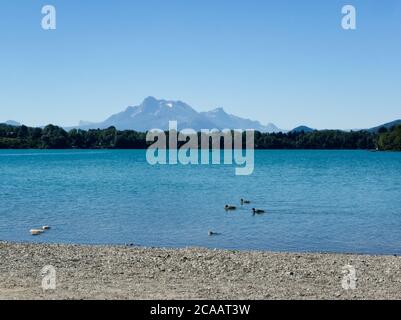 Herrliche Aussicht auf den See von Petichet mit Enten und Bergen im Hintergrund Stockfoto