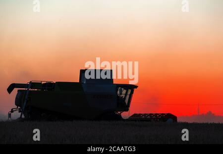 Rosenow, Deutschland. August 2020. Ein Mähdrescher der Marktfrucht Lützow fährt nach Sonnenuntergang über ein Roggenfeld. Nach zwei Jahren Dürre erwarten die Bauern in Mecklenburg-Vorpommern in diesem Jahr eine durchschnittliche Getreideernte. (Luftaufnahme mit Drohne) Quelle: Jens Büttner/dpa-Zentralbild/dpa/Alamy Live News Stockfoto