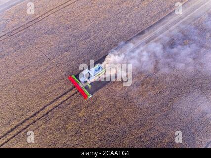 Rosenow, Deutschland. August 2020. Ein Mähdrescher der Marktfrucht Lützow fährt bei Sonnenuntergang über ein Roggenfeld. Nach zwei Jahren Dürre erwarten die Bauern in Mecklenburg-Vorpommern in diesem Jahr eine durchschnittliche Getreideernte. (Luftaufnahme mit Drohne) Quelle: Jens Büttner/dpa-Zentralbild/dpa/Alamy Live News Stockfoto