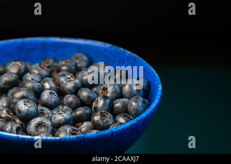 Nahaufnahme der Keramikschale voller Heidelbeeren auf blauem Hintergrund. Reife Blaubeerplatte. Biologische und gesunde Lebensmittel. Stockfoto