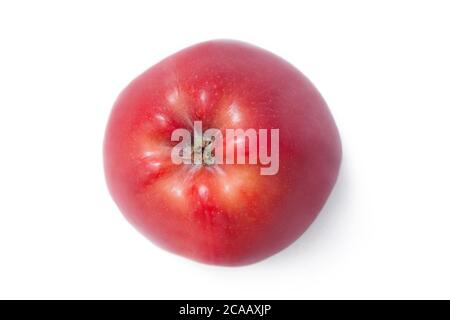 Draufsicht auf rip roten Apfel isoliert auf weißem Hintergrund. Frische Bio-Apfelfrüchte. Beschneidungspfad. Stockfoto