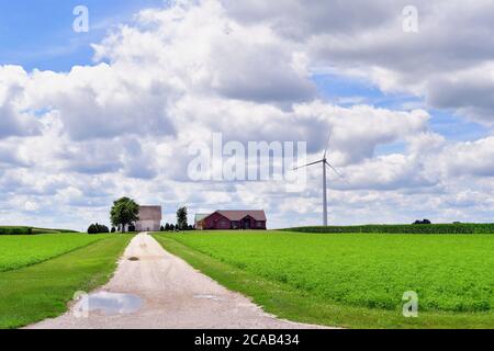 Kinsman, Illinois, USA. Eine lange unbefestigte Auffahrt führt vorbei an Getreide auf dem Weg zu einem ländlichen Bauernhaus und Scheune auf einer Nord-Zentral Illinois Farm. Stockfoto