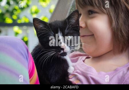 Ein 5-jähriges Mädchen hält ein schwarz-weißes zwei Monate altes Kätzchen. Stockfoto