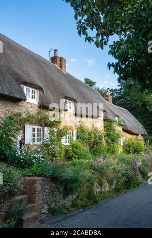 Reetdachhaus in dem Dorf Great Milton, Oxfordshire, England Stockfoto