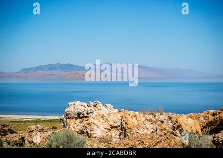 Ein Blick auf die Natur im Antelope Island State Park, Utah Stockfoto