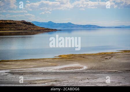 Ein Blick auf die Natur im Antelope Island State Park, Utah Stockfoto