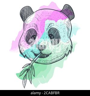 panda BAMBUS Aquarell Vektor Illustration für Ihr Unternehmen oder Ihre Marke Stock Vektor