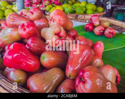 Frisch gezupfte Rosenapfelfrucht oder Jambu Airon Ausstellung zum Verkauf Stockfoto