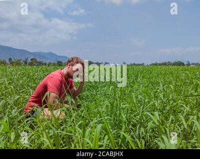 Der Mann sitzt auf einem dicken Feld mit grünem Gras und denkt nach Stockfoto