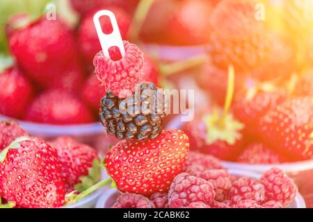 Selektiver Fokus. Frische Erdbeeren, Himbeeren und Brombeeren in einem Glas. Sommer Strandessen Stockfoto