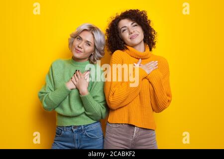 Charmante, lockige Schwestern berühren ihr Herz mit Palmen, die Liebe auf einer gelben Studiowand gestikulieren Stockfoto