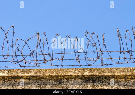 Nahaufnahme einer Spule aus Stacheldraht vor einem blauen Himmel. Teil einer Verteidigungsschutzbarriere. Stockfoto