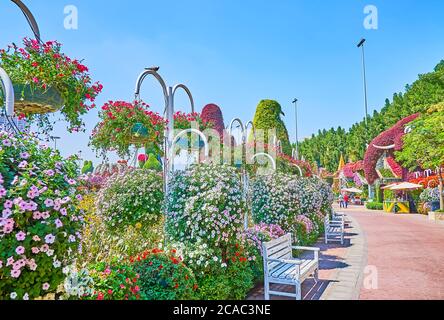 DUBAI, VAE - 5. MÄRZ 2020: Der Miracle Garden ist der perfekt gestaltete Ort mit vielen Blumeninstallationen, schattigen Gassen, gemütlichen Bänken und Lus Stockfoto