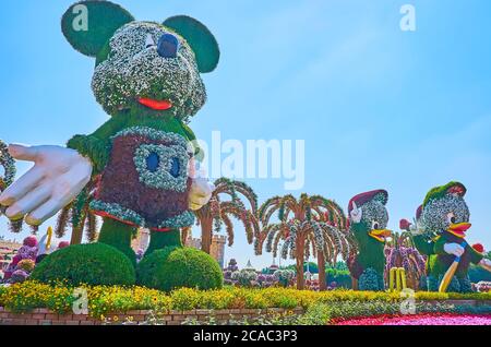 DUBAI, VAE - 5. MÄRZ 2020: Miracle Garden zieht kleine Besucher mit ihren Lieblingsfiguren von Walt Disney an, wie Mickey Mouse oder Huey, Dewey, L Stockfoto