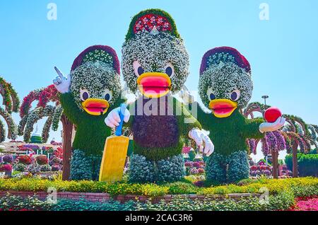 DUBAI, VAE - 5. MÄRZ 2020: Die Zeichentrickfiguren von Ducktales - Huey, Dewey und Louie Duck, bedeckt mit grünen Pflanzen und Blumen im Miracle Garden, Stockfoto