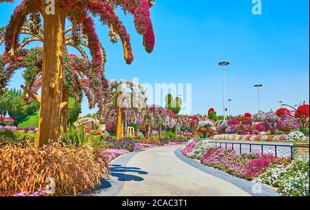 DUBAI, VAE - 5. MÄRZ 2020: Spazieren Sie durch die geschwungene Gasse und genießen Sie die Landschaftsgestaltung des Miracle Garden mit Petunien und Ringelblumen, Palmen, Abdeckung Stockfoto