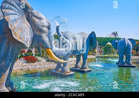 DUBAI, VAE - 5. MÄRZ 2020: Die riesigen Statuen von Elefanten, die Wasser aus den Stämmen im Teich des Miracle Garden gießen, am 5. März in Dubai Stockfoto