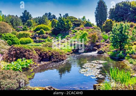 Der Steingarten im Royal Botanic Garden Edinburgh Schottland Großbritannien Stockfoto