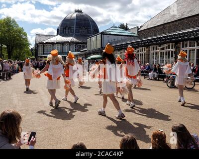 Billorettes männliche Tänzer Sommermesse in Buxton Derbyshire England Stockfoto